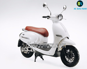 Xe máy điện MBI V DkBike 2019