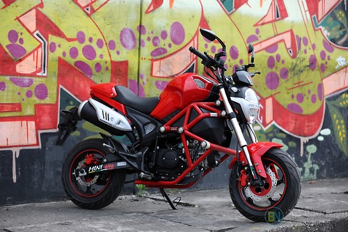 Ducati mini monster best sale 125cc