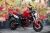 XE MÁY 110CC DUCATI MONSTER MINI