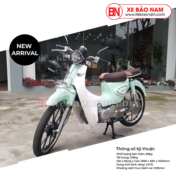 Xe Máy 50cc Cub New Ally 2020 Màu Xanh (vành đúc )