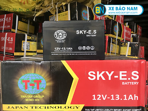 Ắc quy SKY - E.S 12V - 13.1 Ah (48V - 13.1Ah)