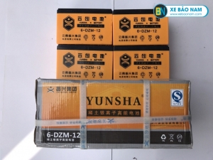 Ắc quy xe đạp điện Yunsha 48V - 12Ah