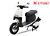 XE MÁY ĐIỆN GOGO OSAKAR
