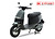 XE MÁY ĐIỆN GOGO OSAKAR