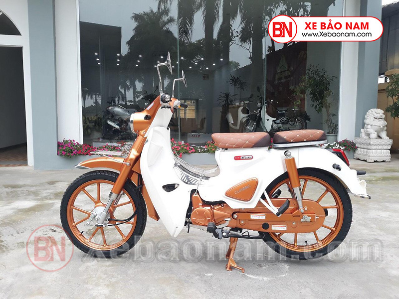 XE MÁY 50CC CUB ALLY CLASSIC BẢN ĐỘ 2022