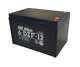 ẮC QUY XE ĐẠP ĐIỆN DK BIKE 48V – 12AH