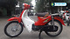 Xe Cub 50cc Espero