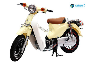 XE MÁY 50CC CUB LÙN BÁNH BÉO