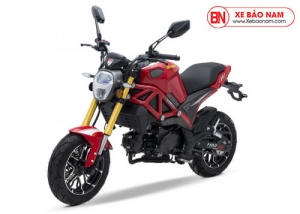 XE MÁY DUCATI MONSTER 110 2 BẢN LAZĂNG