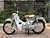 XE MÁY 50CC CUB VINTAGE
