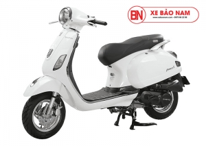 XE GA 50CC VESPA DIBAO PANSY XS 2021