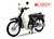 Xe máy 50cc Cub 81 New