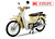 Xe máy 50cc Cub 81 New