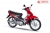 XE MÁY 50CC WAVE HALIM SUMOTOR