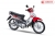 XE MÁY 50CC WAVE HALIM SUMOTOR