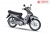 XE MÁY 50CC WAVE HALIM SUMOTOR