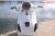 XE GA 50CC VESPA PANSY X DIBAO