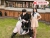 XE GA 50CC GIORNO HYOSUNG
