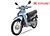 XE MÁY 50CC WAVE VIỆT THÁI